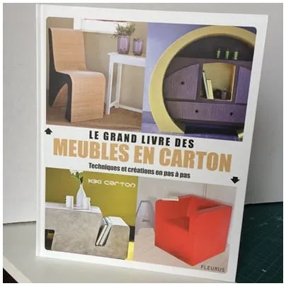 Le grand livre des meubles en carton 1