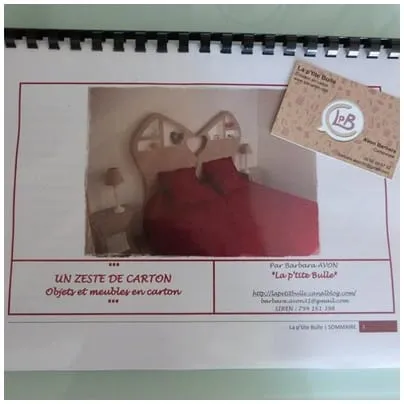 LIVRE un zeste de carton