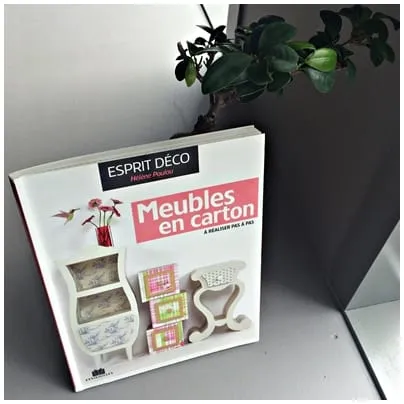 Le livre Meubles en carton