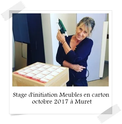 Stage dinitiation meubles en carton octobre 2017 muret
